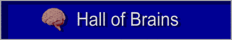 Hall of Brains