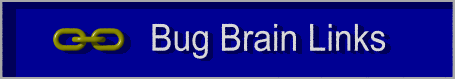 Bug Brain Links