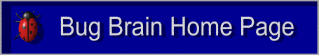 Bug Brain Home Page
