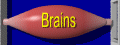 Brains
